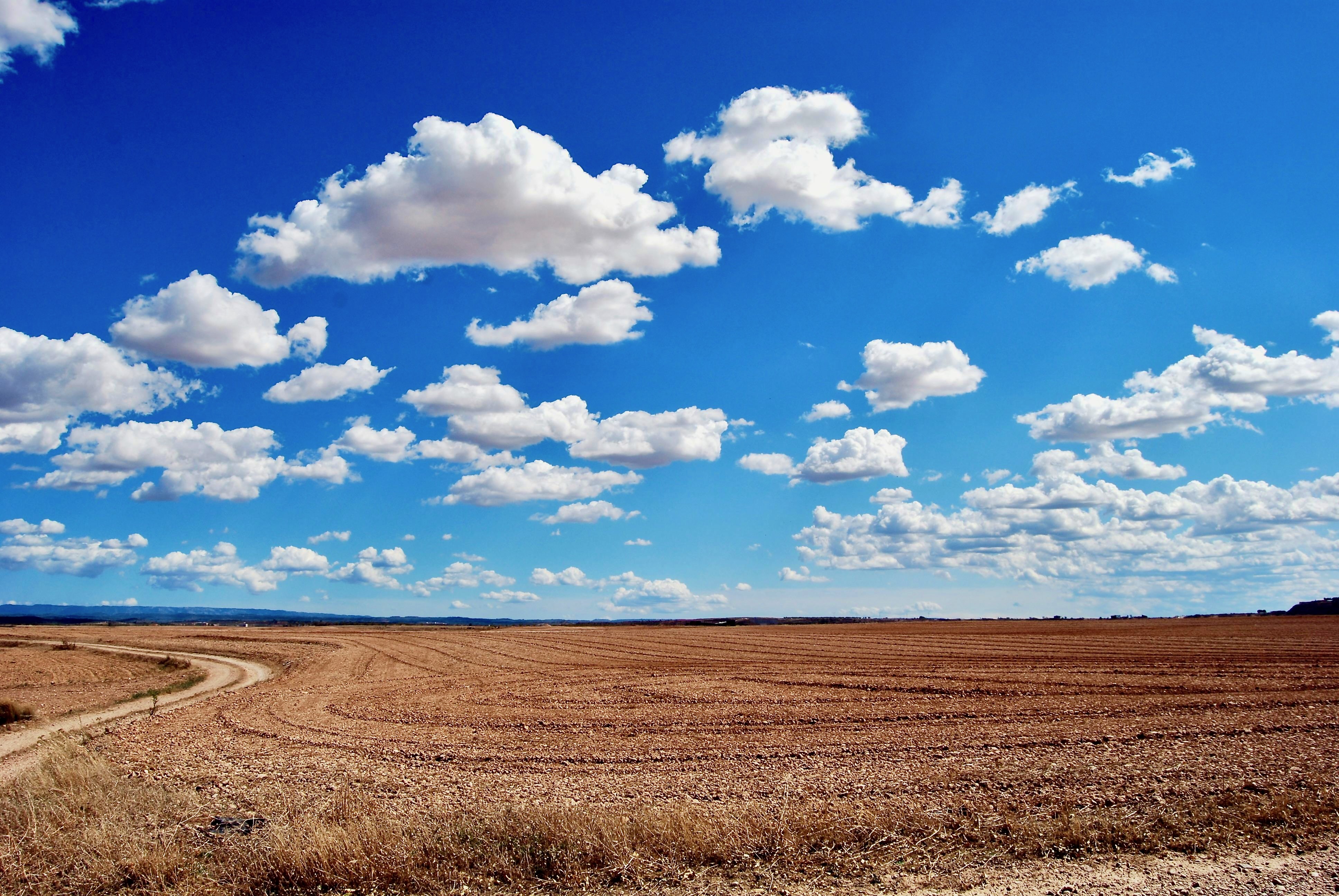 Looming Economic Crisis Tied to Nature Loss