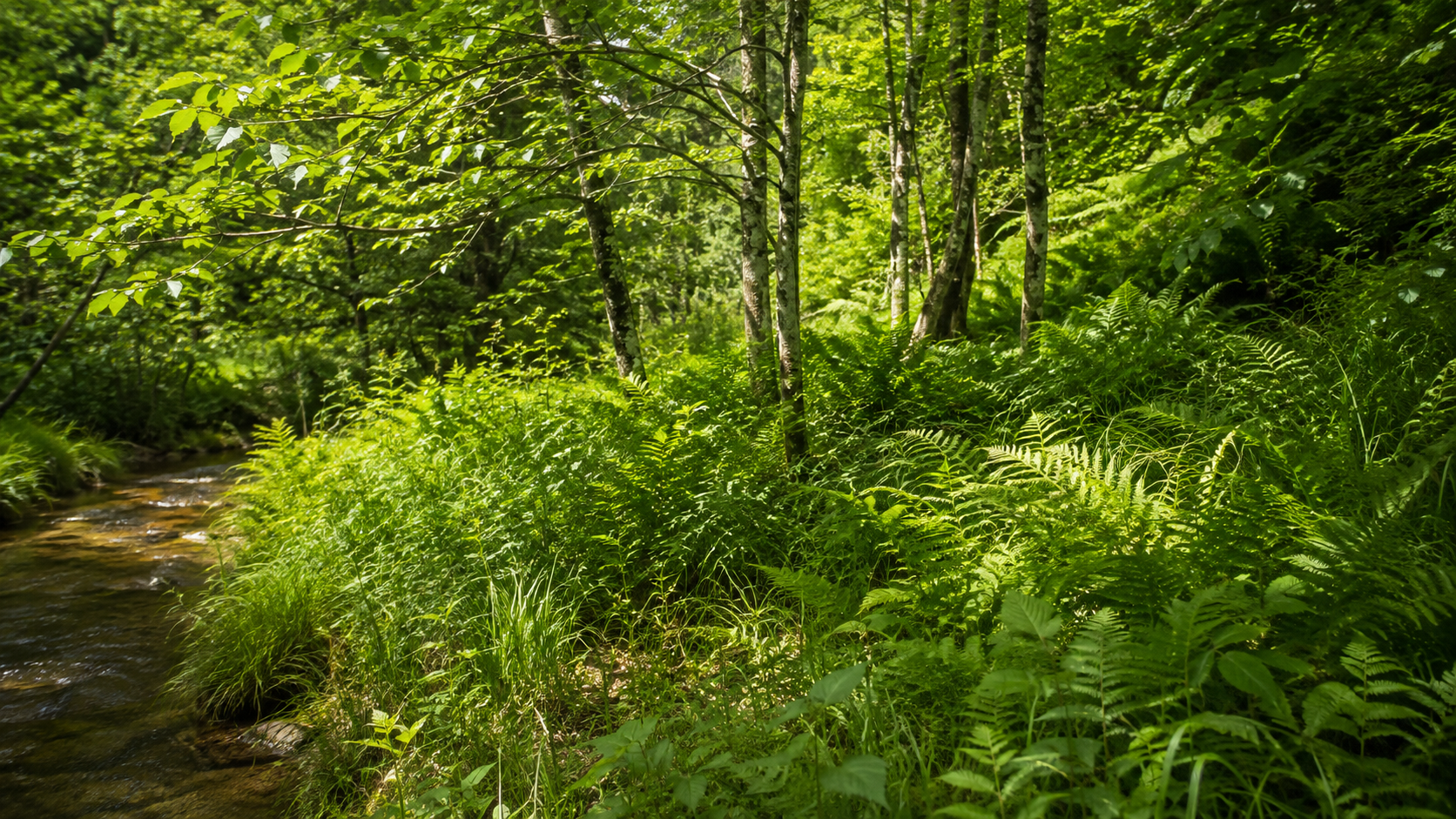 World Needs Nearly $10 Trillion a Year for Climate and Nature Goals